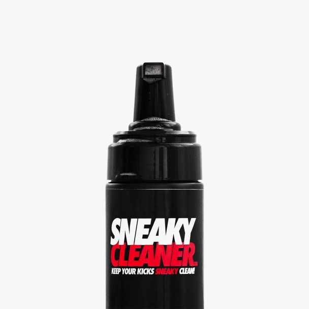 Sneaky Cleaning Kit