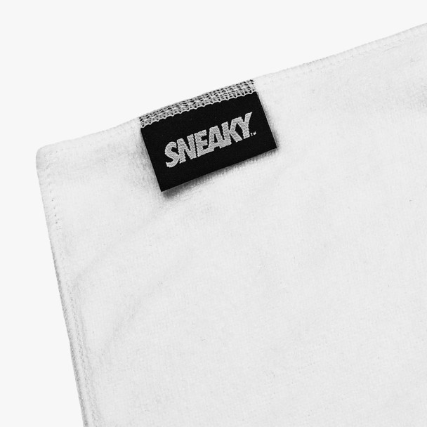 Sneaky Cleaning Kit