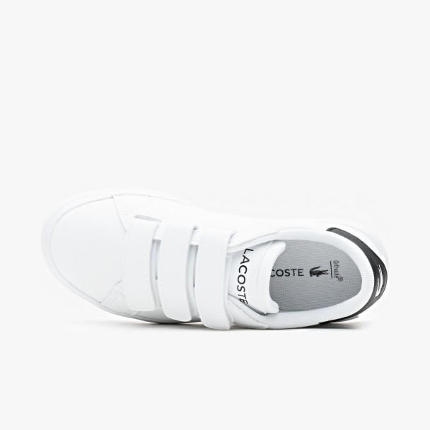 Lacoste Vulcanized K