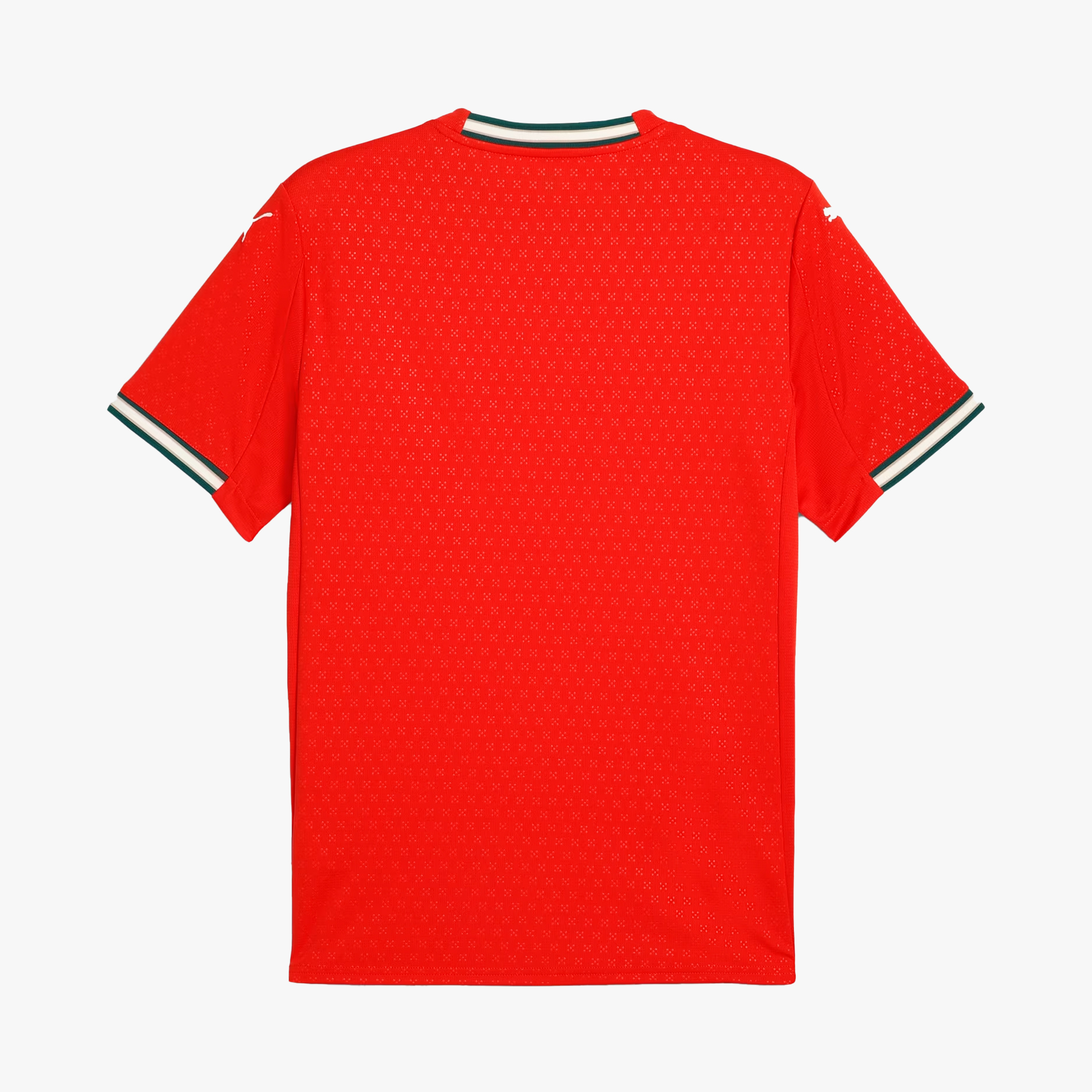 Puma FPF Home Jersey Replica