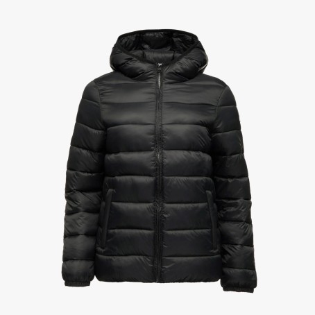 Champion Padded