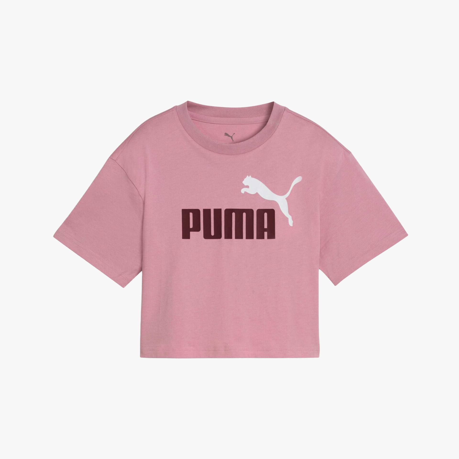 Puma ESS 2 Color No. 1 Logo