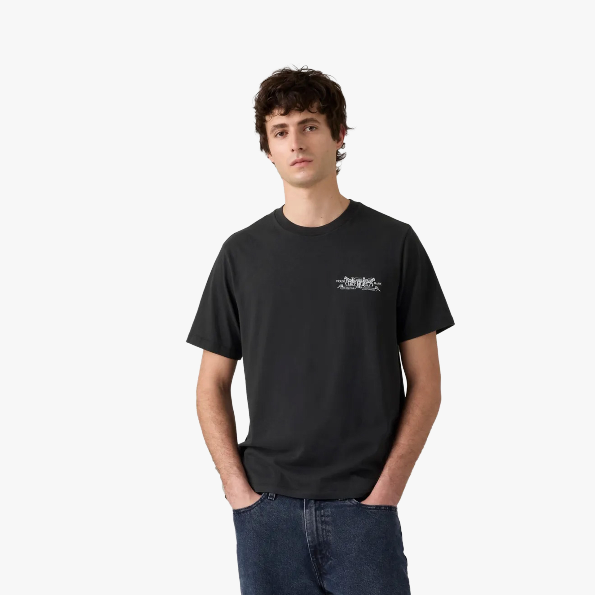 Levis Graphic