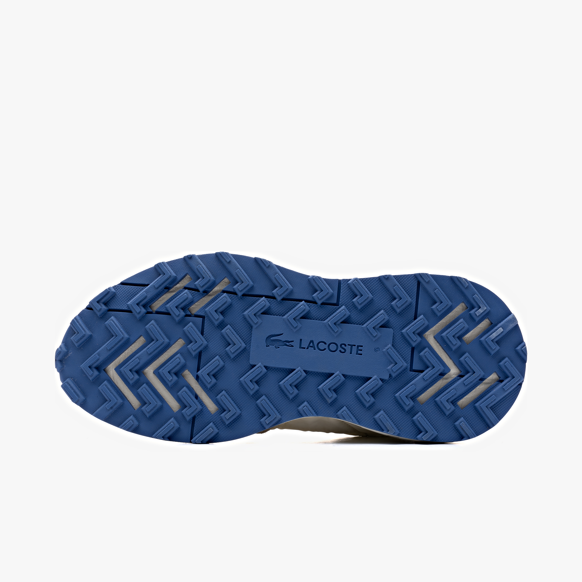 Lacoste Elite Active Evo