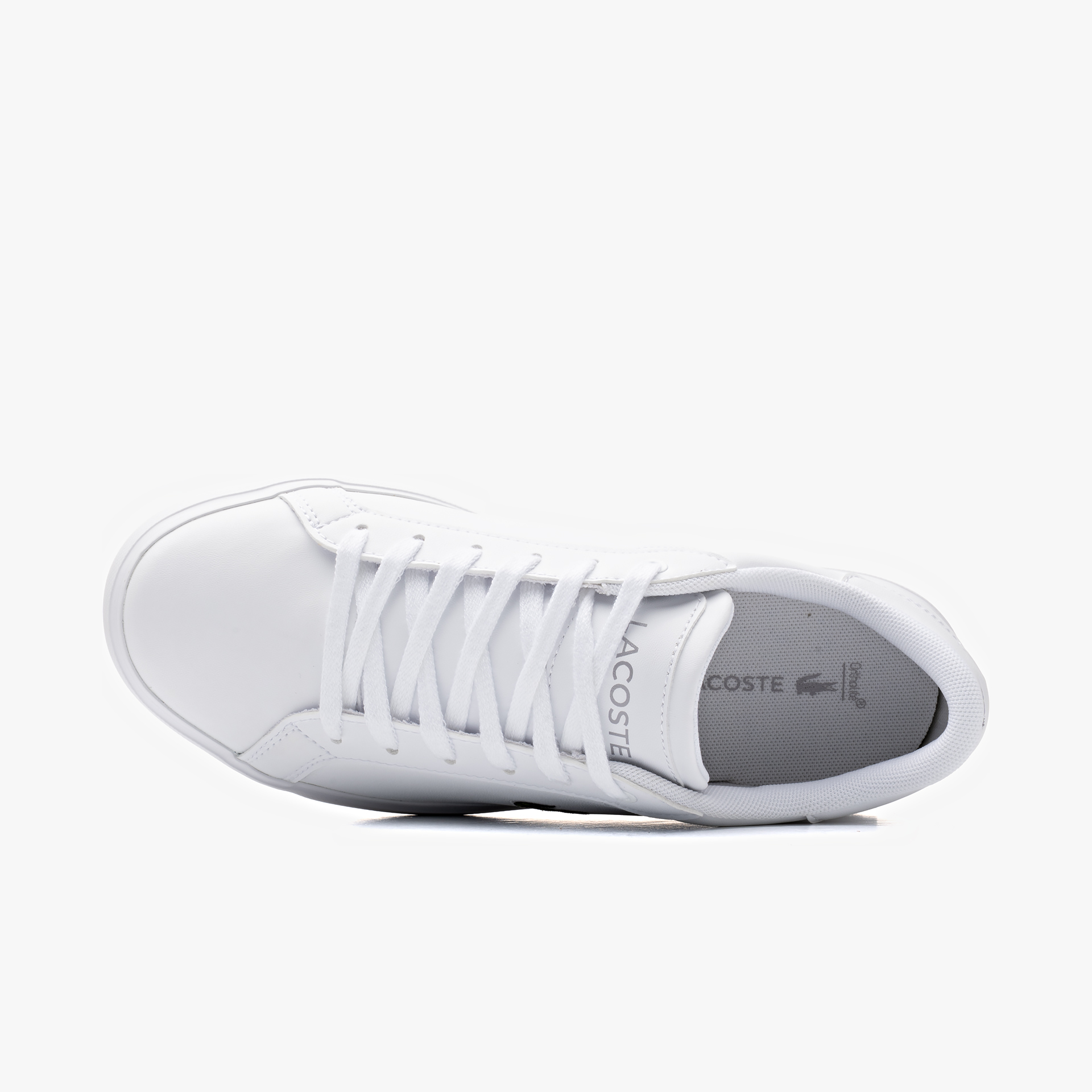 Lacoste Powercourt