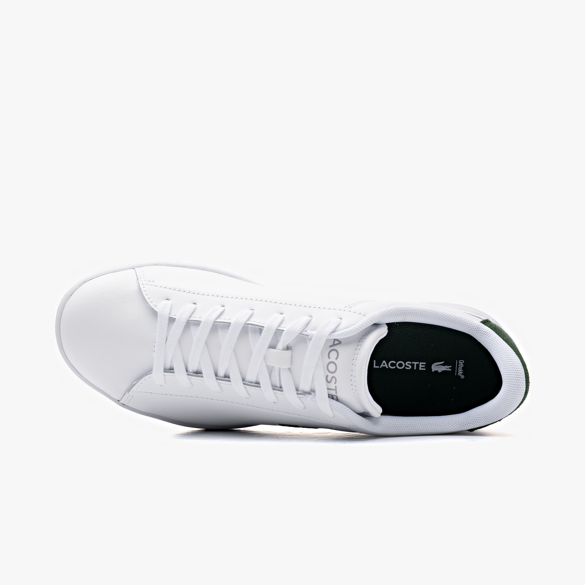 Lacoste Carnaby